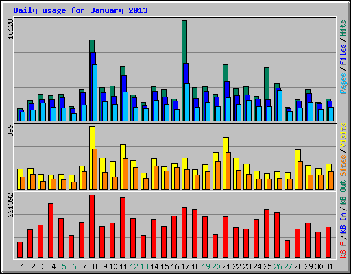 Daily usage for January 2013