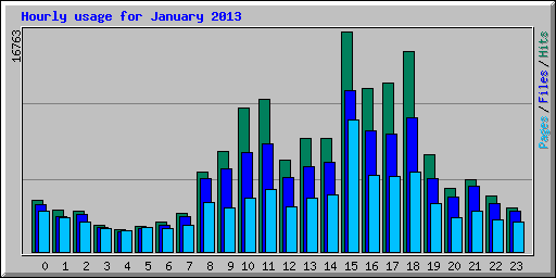 Hourly usage for January 2013