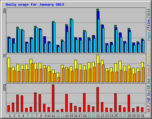 Daily usage for January 2013