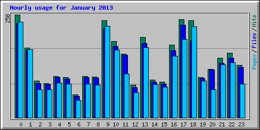 Hourly usage for January 2013