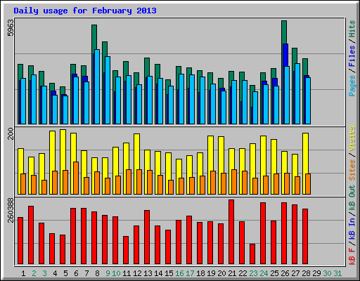 Daily usage for February 2013