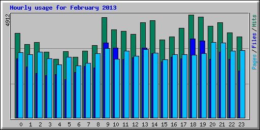 Hourly usage for February 2013