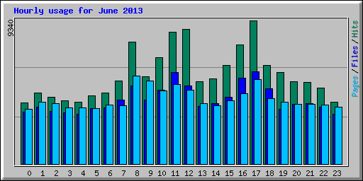 Hourly usage for June 2013