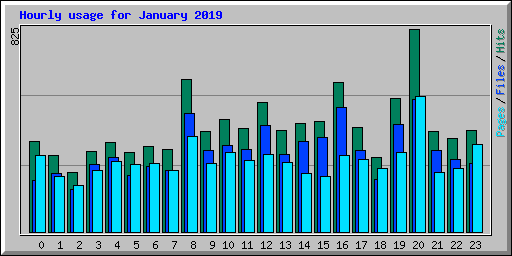 Hourly usage for January 2019