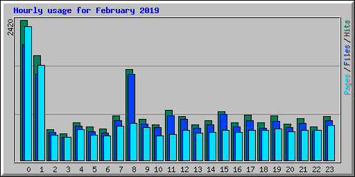 Hourly usage for February 2019