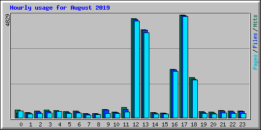 Hourly usage for August 2019