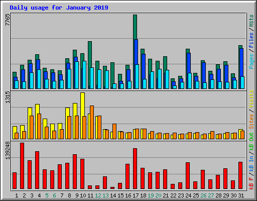 Daily usage for January 2019