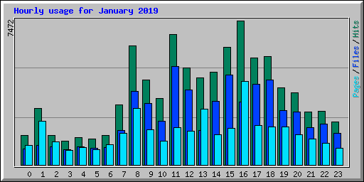 Hourly usage for January 2019