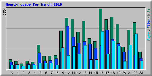 Hourly usage for March 2019