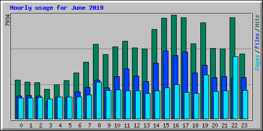 Hourly usage for June 2019