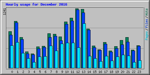 Hourly usage for December 2016