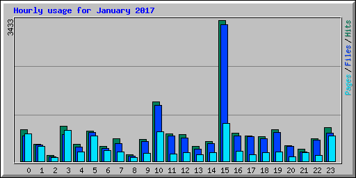 Hourly usage for January 2017