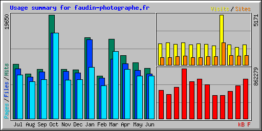 Usage summary for faudin-photographe.fr