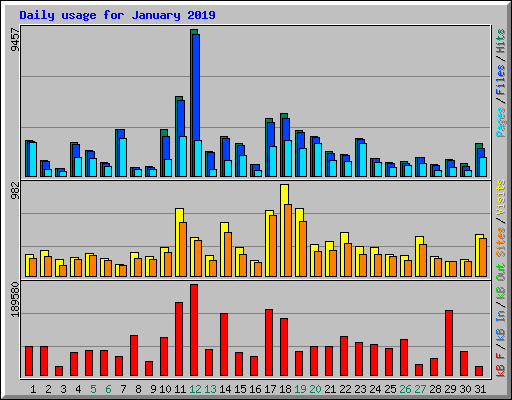 Daily usage for January 2019