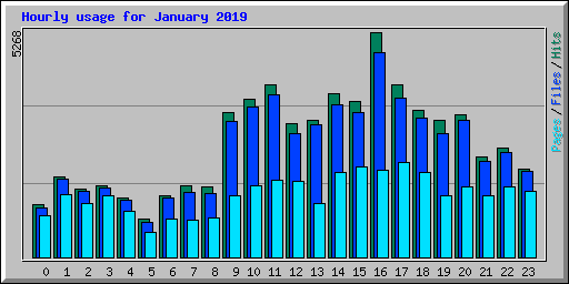 Hourly usage for January 2019