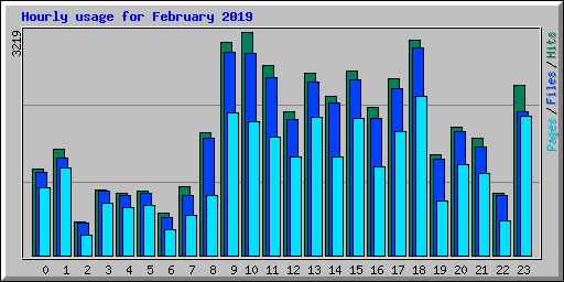 Hourly usage for February 2019