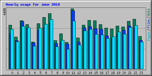 Hourly usage for June 2019